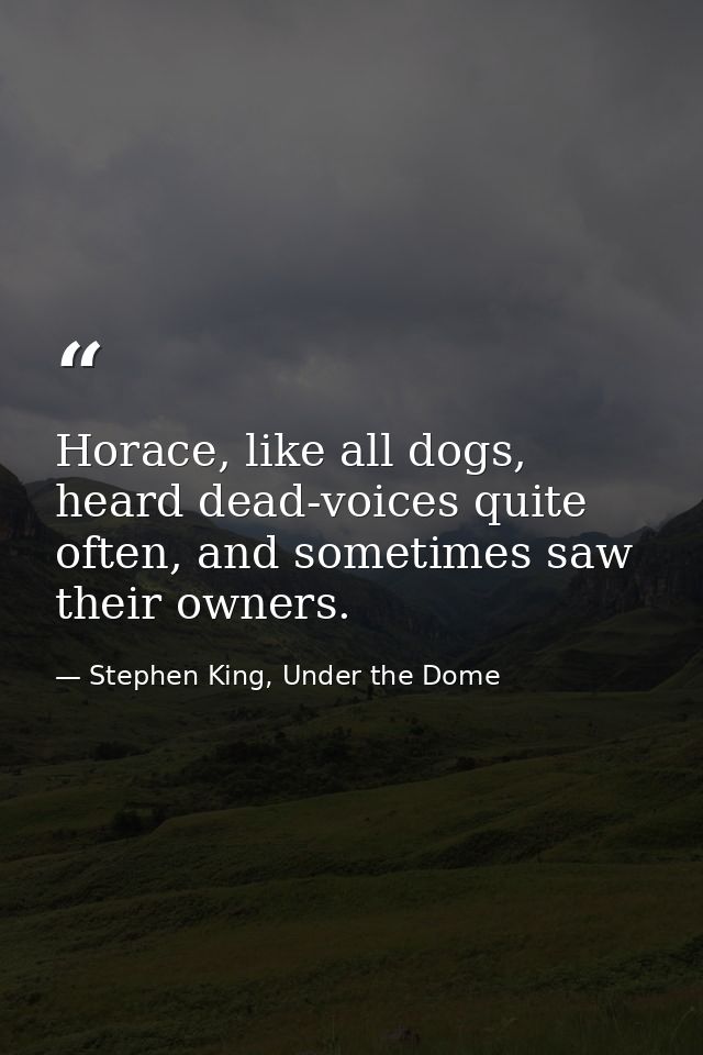 Horace, like all dogs, heard dead-voices quite often, and sometimes saw their owners. — Stephen King, Under the Dome