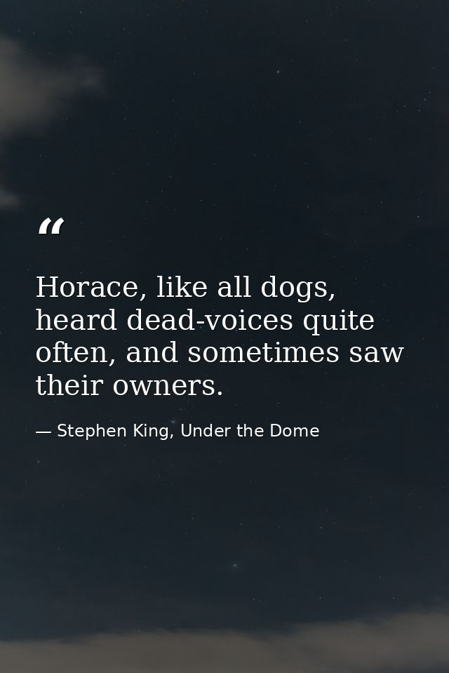 Horace, like all dogs, heard dead-voices quite often, and sometimes saw their owners. — Stephen King, Under the Dome
