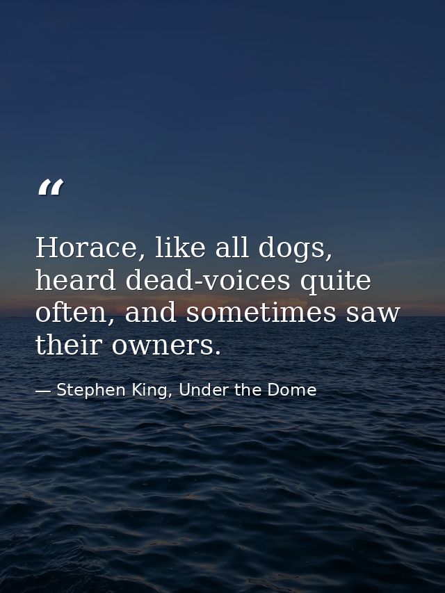 Horace, like all dogs, heard dead-voices quite often, and sometimes saw their owners. — Stephen King, Under the Dome