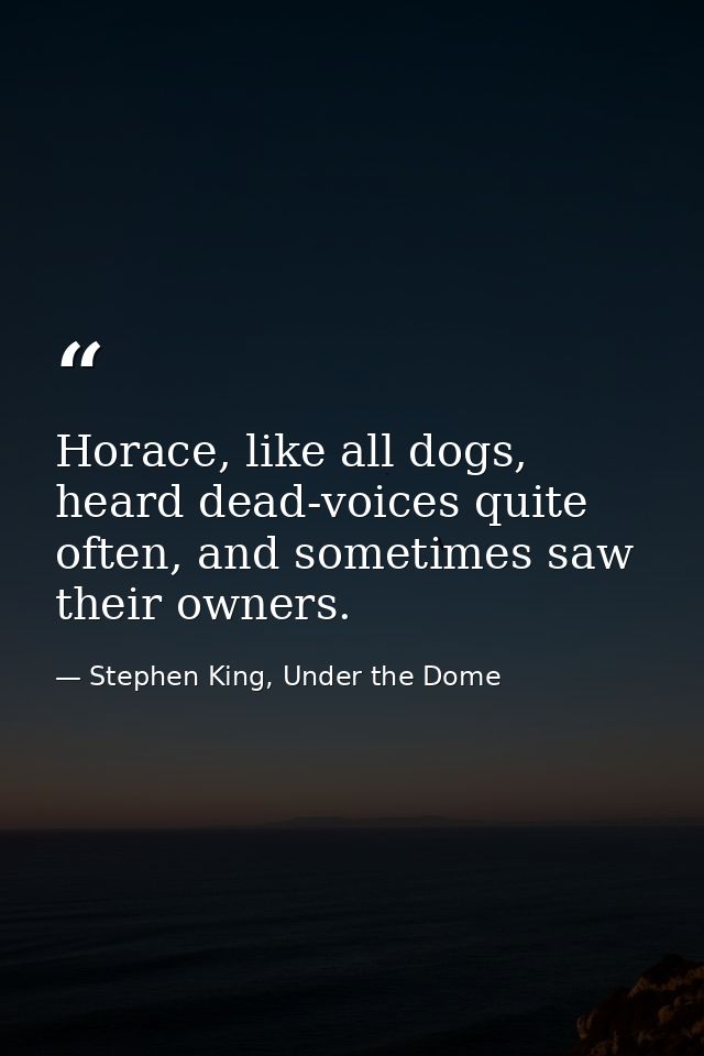 Horace, like all dogs, heard dead-voices quite often, and sometimes saw their owners. — Stephen King, Under the Dome