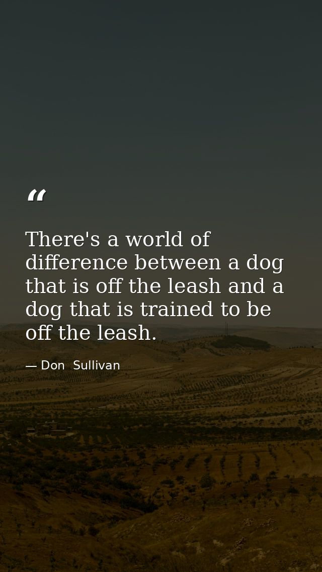 There's a world of difference between a dog that is off the leash and a dog that is trained to be off the leash. — Don  Sullivan