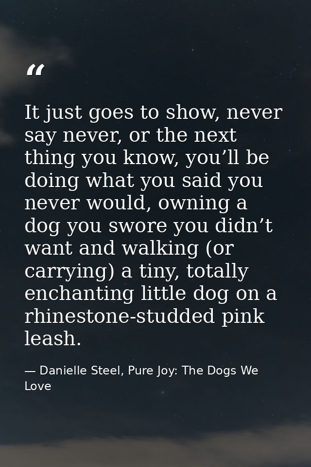 It just goes to show, never say never, or the next thing you know, you’ll be doing what you said you never would, owning — Danielle Steel, Pure Joy: The Dogs We Love