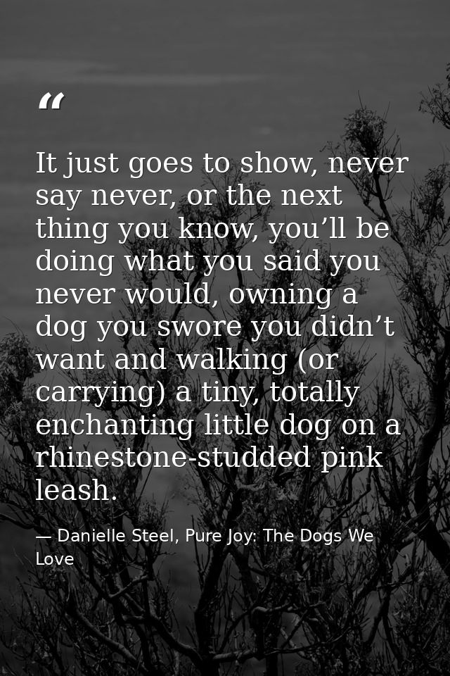 It just goes to show, never say never, or the next thing you know, you’ll be doing what you said you never would, owning — Danielle Steel, Pure Joy: The Dogs We Love