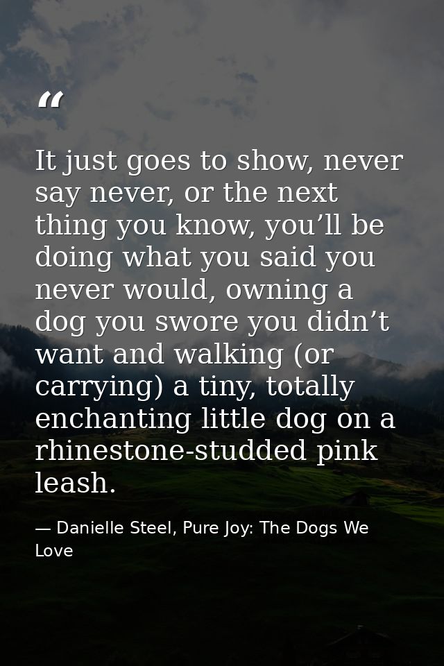 It just goes to show, never say never, or the next thing you know, you’ll be doing what you said you never would, owning — Danielle Steel, Pure Joy: The Dogs We Love