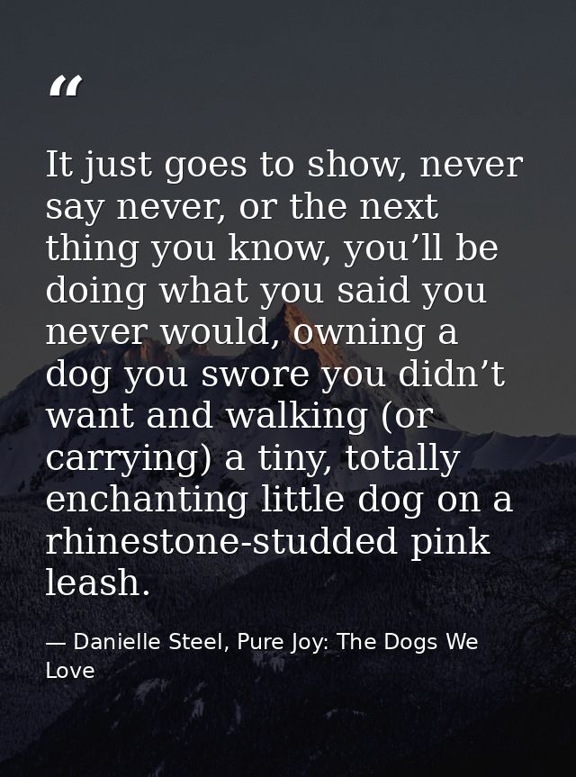 It just goes to show, never say never, or the next thing you know, you’ll be doing what you said you never would, owning — Danielle Steel, Pure Joy: The Dogs We Love