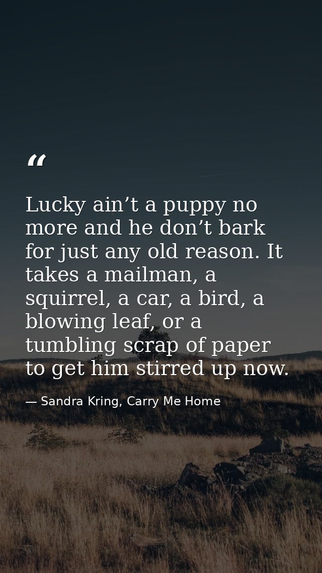 Lucky ain’t a puppy no more and he don’t bark for just any old reason. It takes a mailman, a squirrel, a car, a bird, a  — Sandra Kring, Carry Me Home