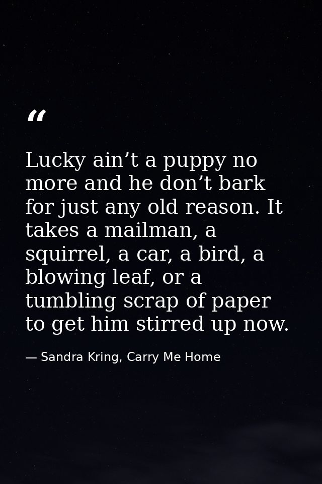 Lucky ain’t a puppy no more and he don’t bark for just any old reason. It takes a mailman, a squirrel, a car, a bird, a  — Sandra Kring, Carry Me Home