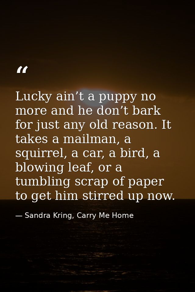 Lucky ain’t a puppy no more and he don’t bark for just any old reason. It takes a mailman, a squirrel, a car, a bird, a  — Sandra Kring, Carry Me Home