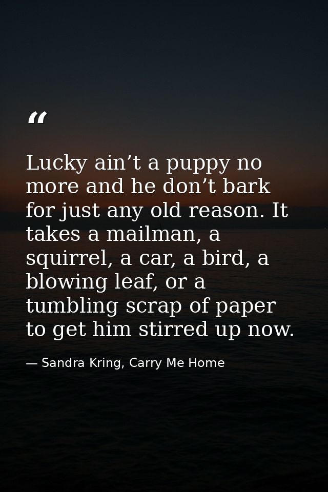 Lucky ain’t a puppy no more and he don’t bark for just any old reason. It takes a mailman, a squirrel, a car, a bird, a  — Sandra Kring, Carry Me Home