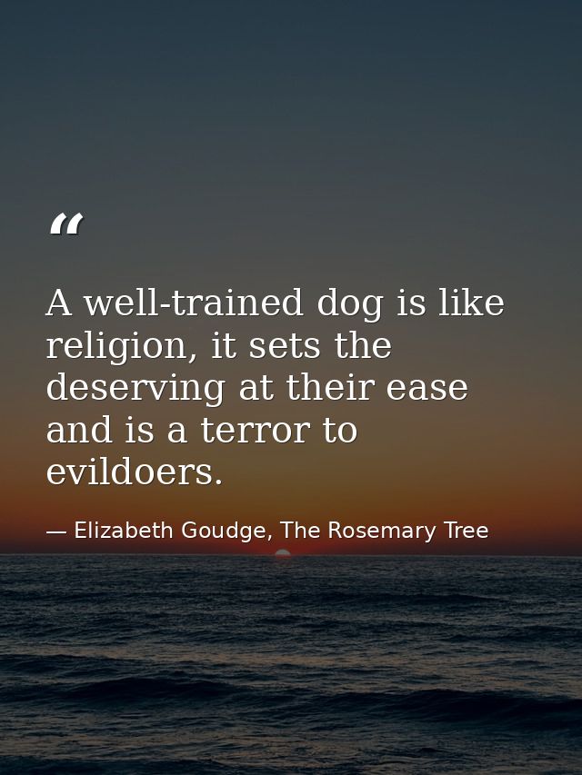 A well-trained dog is like religion, it sets the deserving at their ease and is a terror to evildoers. — Elizabeth Goudge, The Rosemary Tree