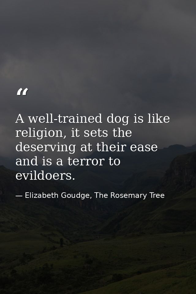 A well-trained dog is like religion, it sets the deserving at their ease and is a terror to evildoers. — Elizabeth Goudge, The Rosemary Tree