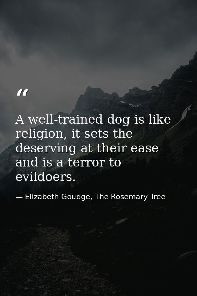 A well-trained dog is like religion, it sets the deserving at their ease and is a terror to evildoers. — Elizabeth Goudge, The Rosemary Tree
