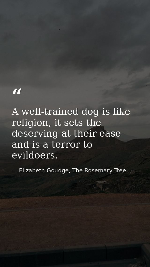 A well-trained dog is like religion, it sets the deserving at their ease and is a terror to evildoers. — Elizabeth Goudge, The Rosemary Tree