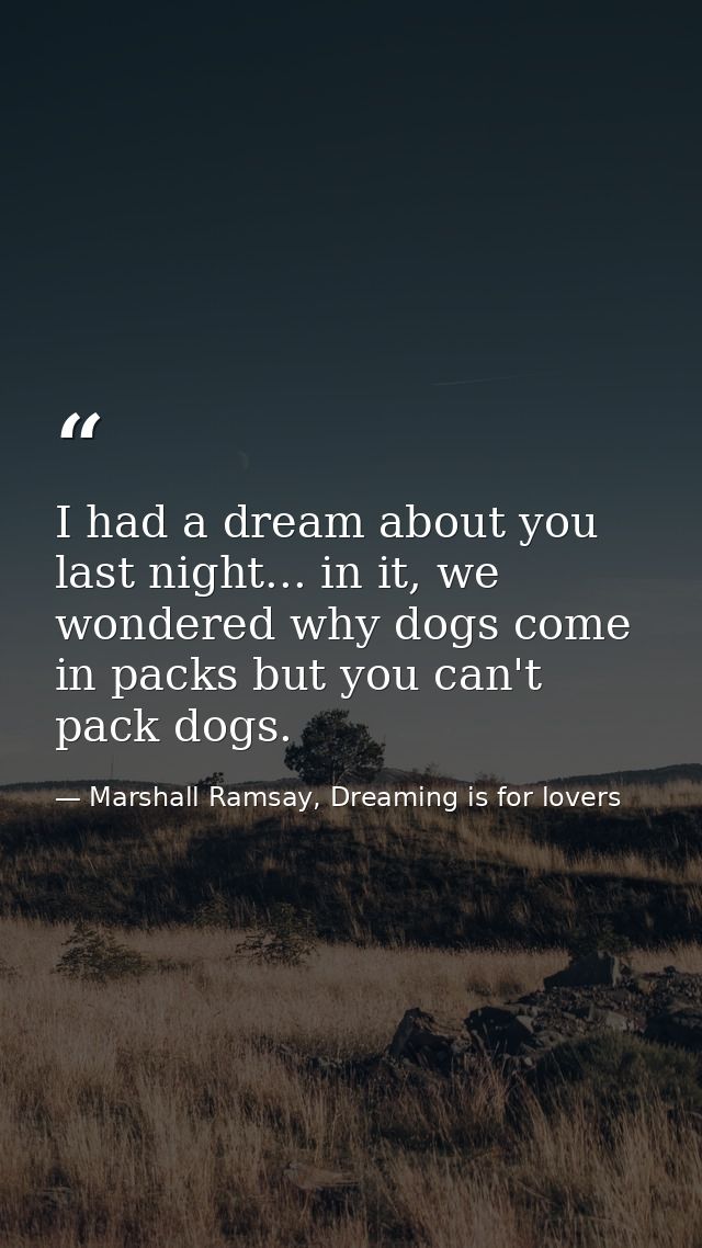 I had a dream about you last night... in it, we wondered why dogs come in packs but you can't pack dogs. — Marshall Ramsay, Dreaming is for lovers