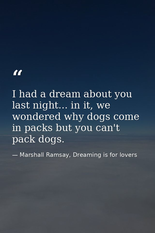 I had a dream about you last night... in it, we wondered why dogs come in packs but you can't pack dogs. — Marshall Ramsay, Dreaming is for lovers