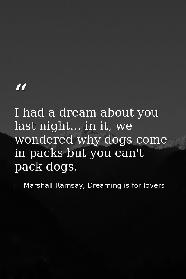 I had a dream about you last night... in it, we wondered why dogs come in packs but you can't pack dogs. — Marshall Ramsay, Dreaming is for lovers