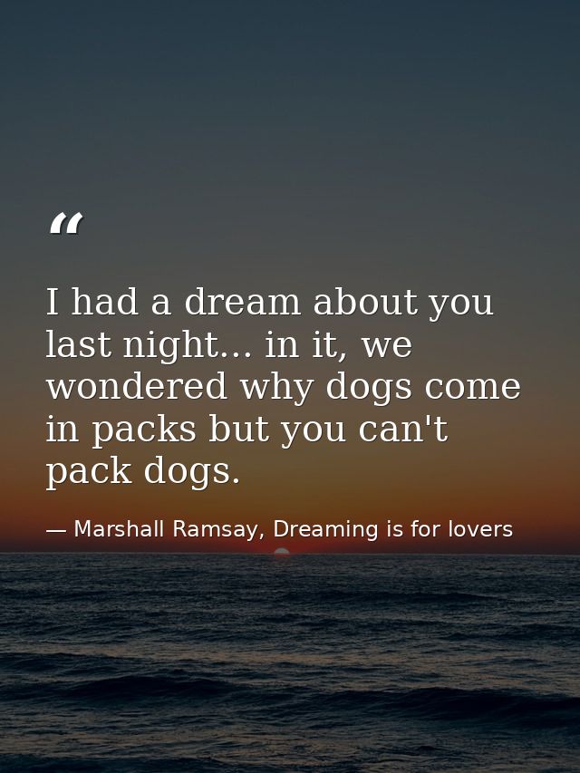 I had a dream about you last night... in it, we wondered why dogs come in packs but you can't pack dogs. — Marshall Ramsay, Dreaming is for lovers