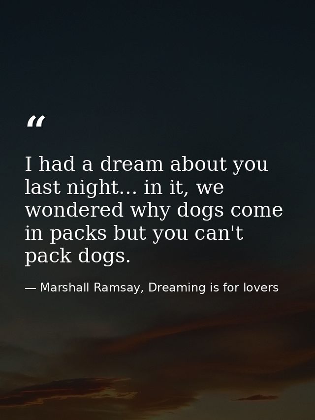 I had a dream about you last night... in it, we wondered why dogs come in packs but you can't pack dogs. — Marshall Ramsay, Dreaming is for lovers