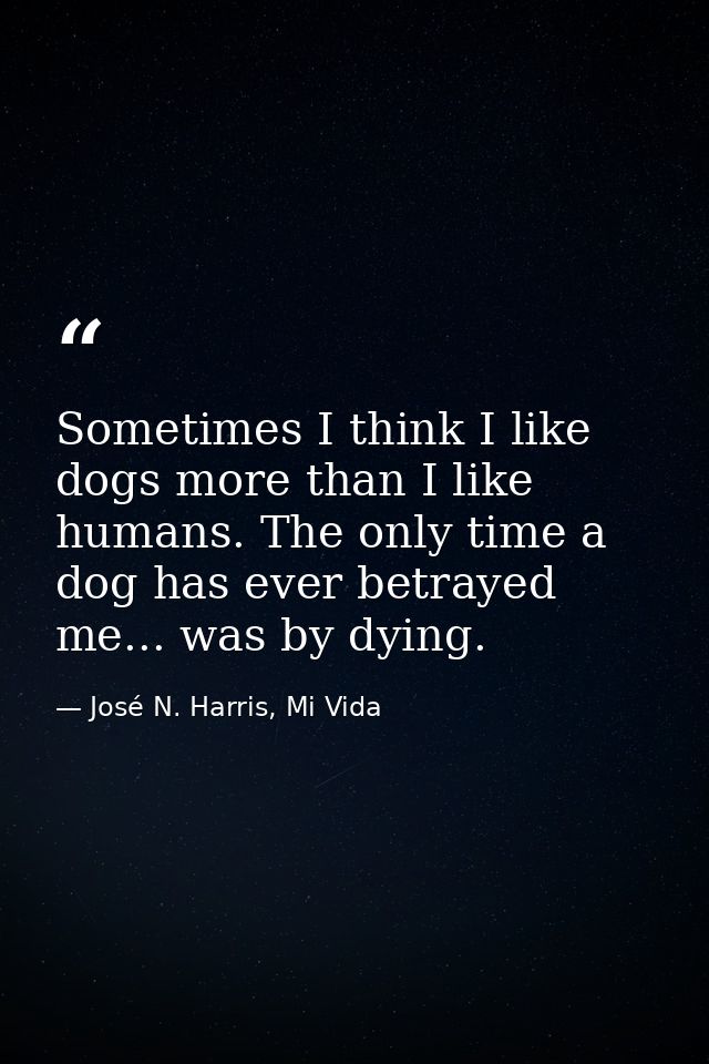 Sometimes I think I like dogs more than I like humans. The only time a dog has ever betrayed me... was by dying. — José N. Harris, Mi Vida