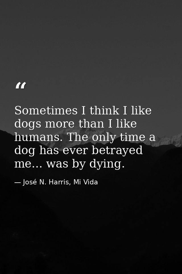 Sometimes I think I like dogs more than I like humans. The only time a dog has ever betrayed me... was by dying. — José N. Harris, Mi Vida