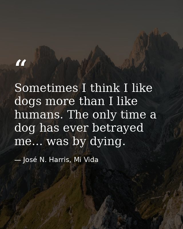 Sometimes I think I like dogs more than I like humans. The only time a dog has ever betrayed me... was by dying. — José N. Harris, Mi Vida