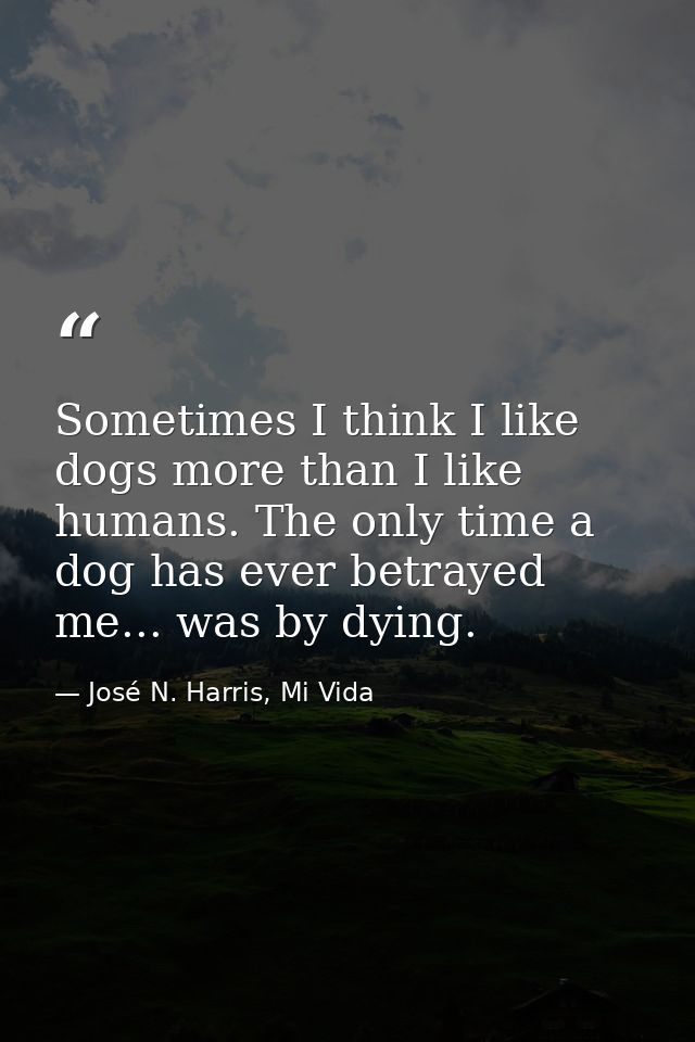 Sometimes I think I like dogs more than I like humans. The only time a dog has ever betrayed me... was by dying. — José N. Harris, Mi Vida