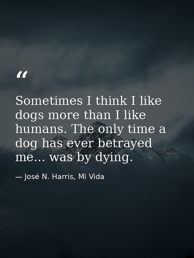 Sometimes I think I like dogs more than I like humans. The only time a dog has ever betrayed me... was by dying. — José N. Harris, Mi Vida