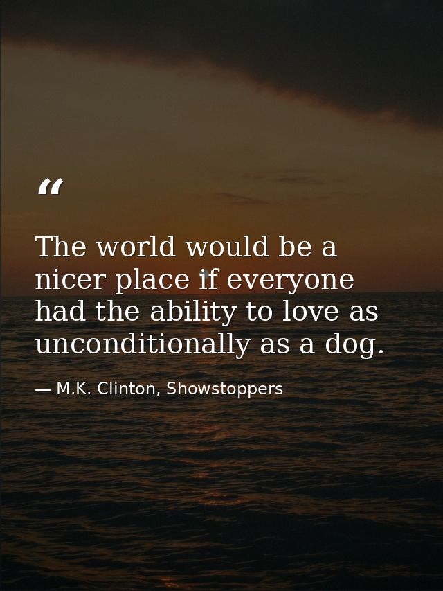 The world would be a nicer place if everyone had the ability to love as unconditionally as a dog. — M.K. Clinton, Showstoppers