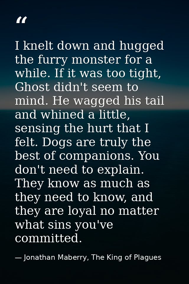 I knelt down and hugged the furry monster for a while. If it was too tight, Ghost didn't seem to mind. He wagged his tai — Jonathan Maberry, The King of Plagues