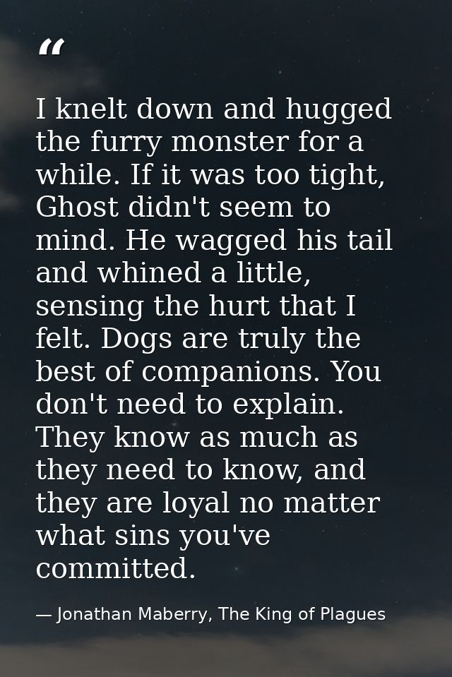 I knelt down and hugged the furry monster for a while. If it was too tight, Ghost didn't seem to mind. He wagged his tai — Jonathan Maberry, The King of Plagues