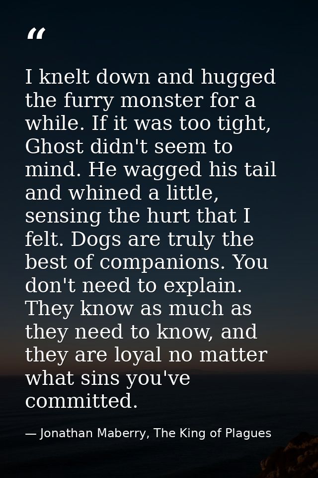 I knelt down and hugged the furry monster for a while. If it was too tight, Ghost didn't seem to mind. He wagged his tai — Jonathan Maberry, The King of Plagues