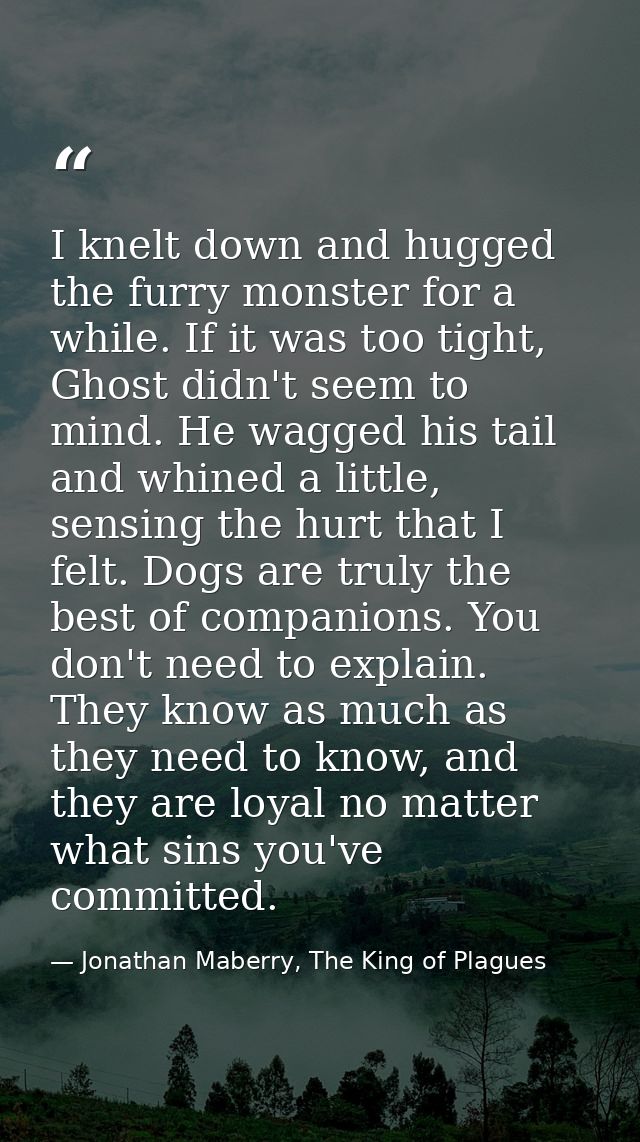 I knelt down and hugged the furry monster for a while. If it was too tight, Ghost didn't seem to mind. He wagged his tai — Jonathan Maberry, The King of Plagues