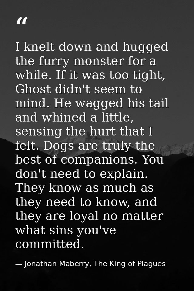 I knelt down and hugged the furry monster for a while. If it was too tight, Ghost didn't seem to mind. He wagged his tai — Jonathan Maberry, The King of Plagues