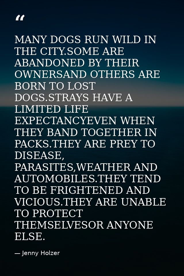 MANY DOGS RUN WILD IN THE CITY.SOME ARE ABANDONED BY THEIR OWNERSAND OTHERS ARE BORN TO LOST DOGS.STRAYS HAVE A LIMITED  — Jenny Holzer