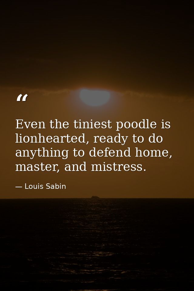 Even the tiniest poodle is lionhearted, ready to do anything to defend home, master, and mistress. — Louis Sabin