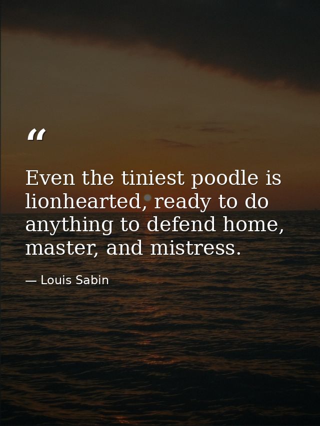 Even the tiniest poodle is lionhearted, ready to do anything to defend home, master, and mistress. — Louis Sabin