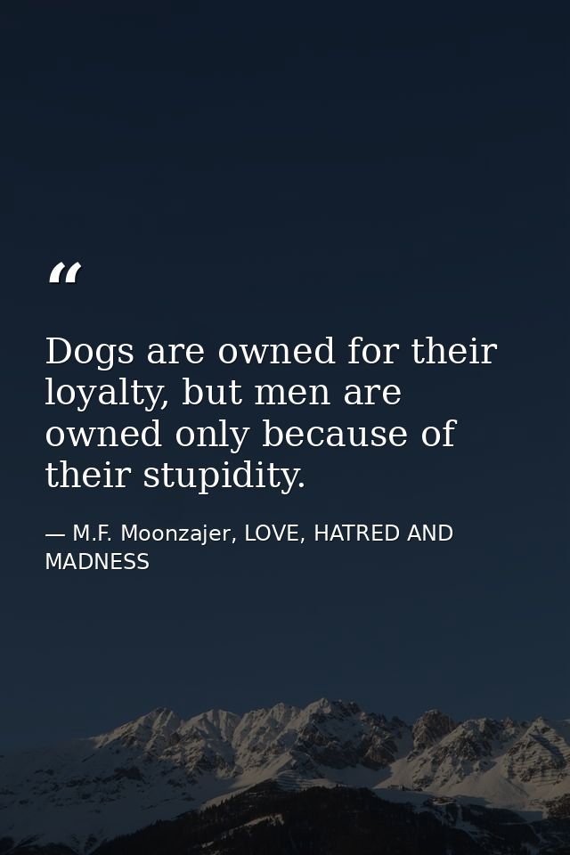 Dogs are owned for their loyalty, but men are owned only because of their stupidity. — M.F. Moonzajer, LOVE, HATRED AND MADNESS