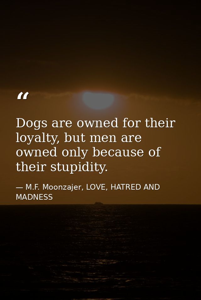 Dogs are owned for their loyalty, but men are owned only because of their stupidity. — M.F. Moonzajer, LOVE, HATRED AND MADNESS