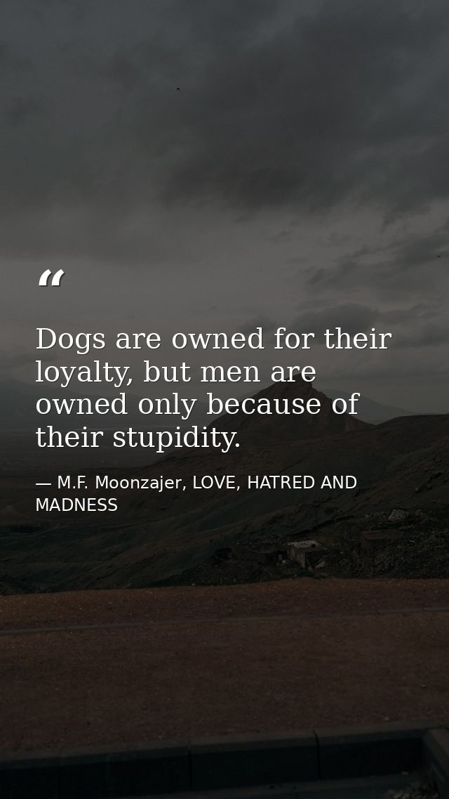 Dogs are owned for their loyalty, but men are owned only because of their stupidity. — M.F. Moonzajer, LOVE, HATRED AND MADNESS