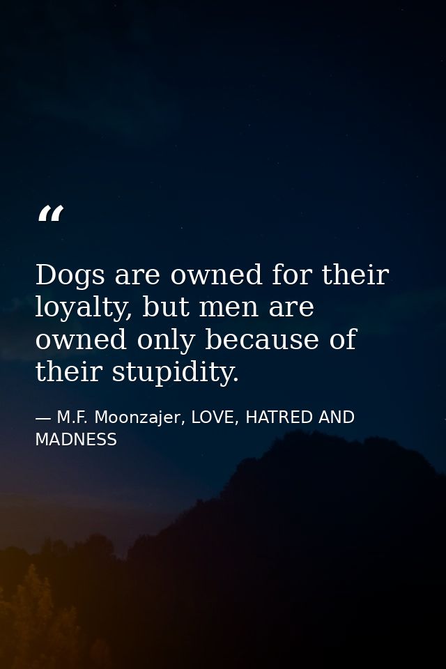 Dogs are owned for their loyalty, but men are owned only because of their stupidity. — M.F. Moonzajer, LOVE, HATRED AND MADNESS