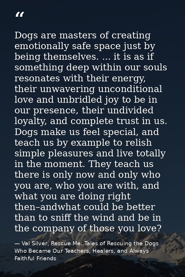 Dogs are masters of creating emotionally safe space just by being themselves. ... it is as if something deep within our  — Val Silver, Rescue Me: Tales of Rescuing the Dogs Who Became Our Teachers, Healers, and Always Faithful Friends