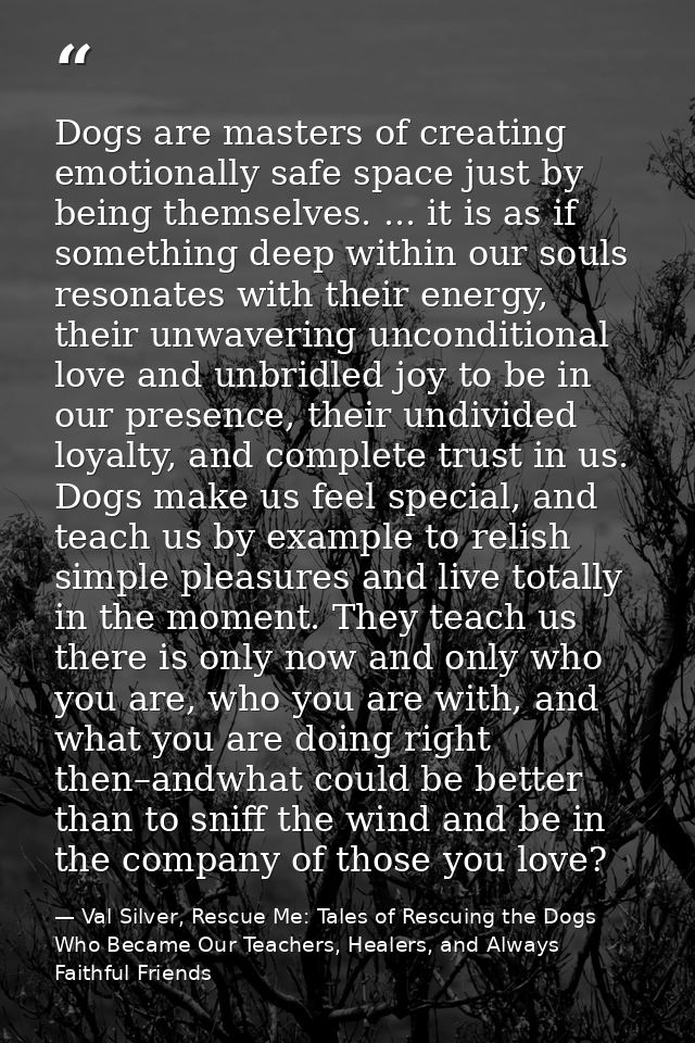 Dogs are masters of creating emotionally safe space just by being themselves. ... it is as if something deep within our  — Val Silver, Rescue Me: Tales of Rescuing the Dogs Who Became Our Teachers, Healers, and Always Faithful Friends
