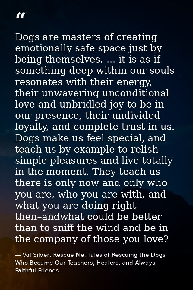 Dogs are masters of creating emotionally safe space just by being themselves. ... it is as if something deep within our  — Val Silver, Rescue Me: Tales of Rescuing the Dogs Who Became Our Teachers, Healers, and Always Faithful Friends