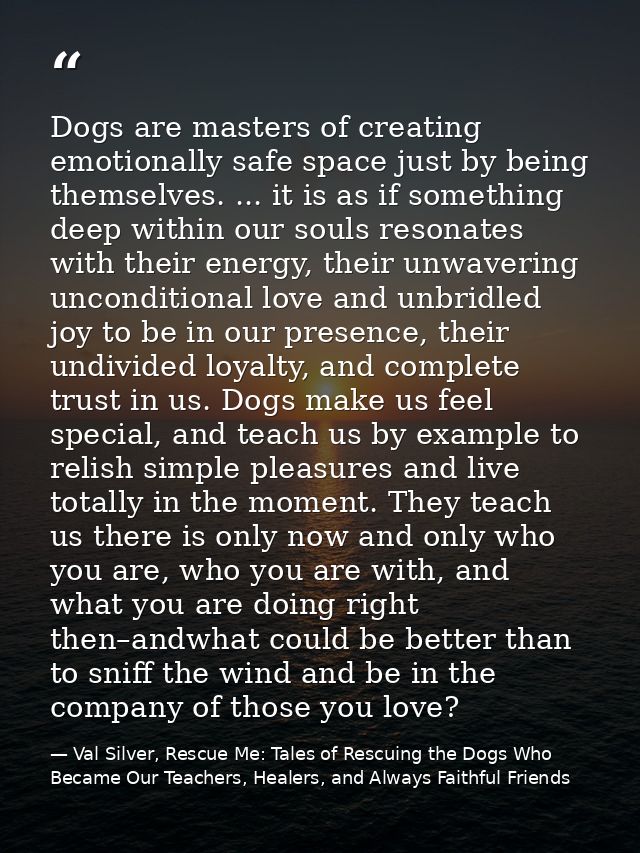 Dogs are masters of creating emotionally safe space just by being themselves. ... it is as if something deep within our  — Val Silver, Rescue Me: Tales of Rescuing the Dogs Who Became Our Teachers, Healers, and Always Faithful Friends