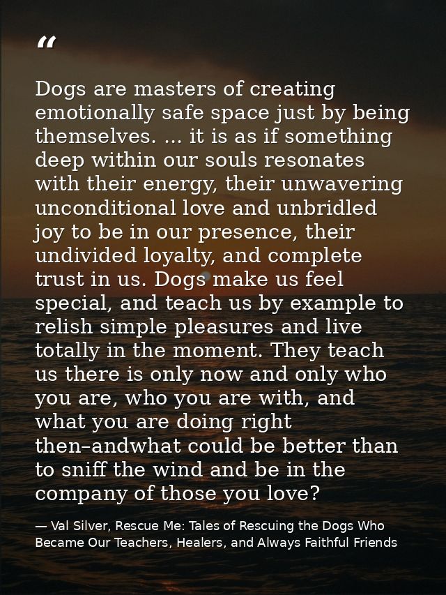 Dogs are masters of creating emotionally safe space just by being themselves. ... it is as if something deep within our  — Val Silver, Rescue Me: Tales of Rescuing the Dogs Who Became Our Teachers, Healers, and Always Faithful Friends