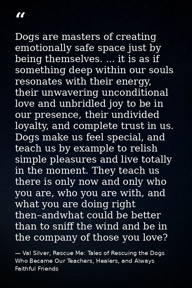 Dogs are masters of creating emotionally safe space just by being themselves. ... it is as if something deep within our  — Val Silver, Rescue Me: Tales of Rescuing the Dogs Who Became Our Teachers, Healers, and Always Faithful Friends