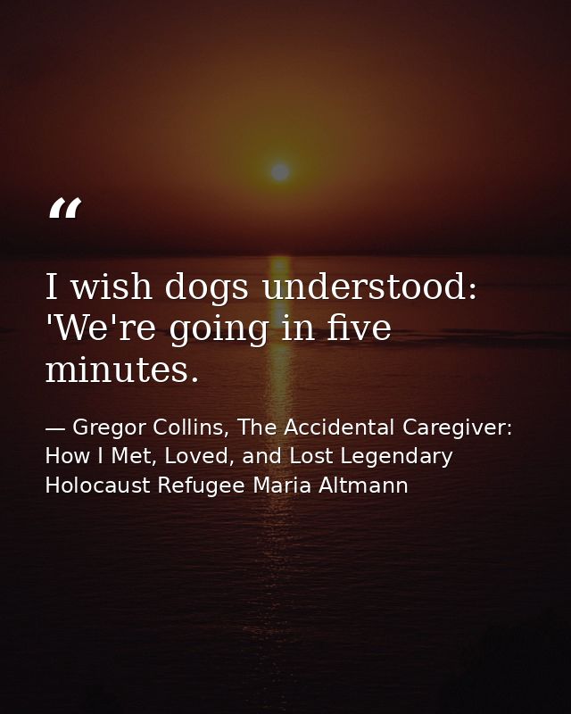 I wish dogs understood: 'We're going in five minutes. — Gregor Collins, The Accidental Caregiver: How I Met, Loved, and Lost Legendary Holocaust Refugee Maria Altmann