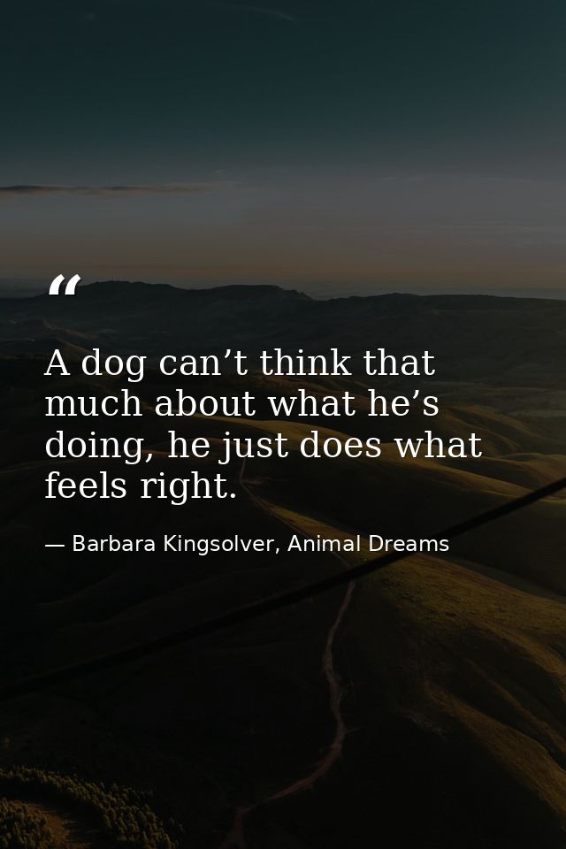 A dog can’t think that much about what he’s doing, he just does what feels right. — Barbara Kingsolver, Animal Dreams