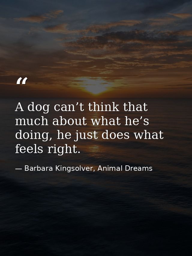 A dog can’t think that much about what he’s doing, he just does what feels right. — Barbara Kingsolver, Animal Dreams
