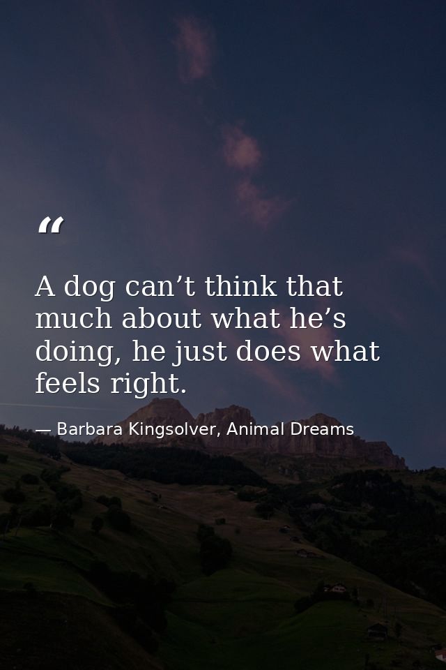 A dog can’t think that much about what he’s doing, he just does what feels right. — Barbara Kingsolver, Animal Dreams